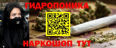 стафф Ставрополь