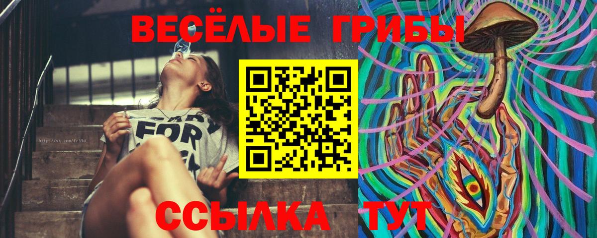 Псилоцибиновые грибы Magic Shrooms Баксан
